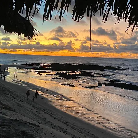 Flor De Cacto Beach Home-3