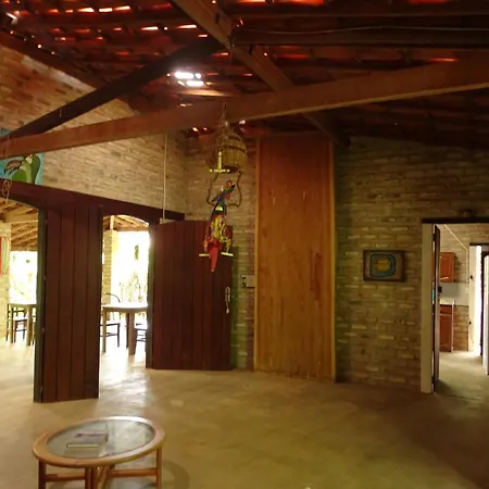 Jungle House-3